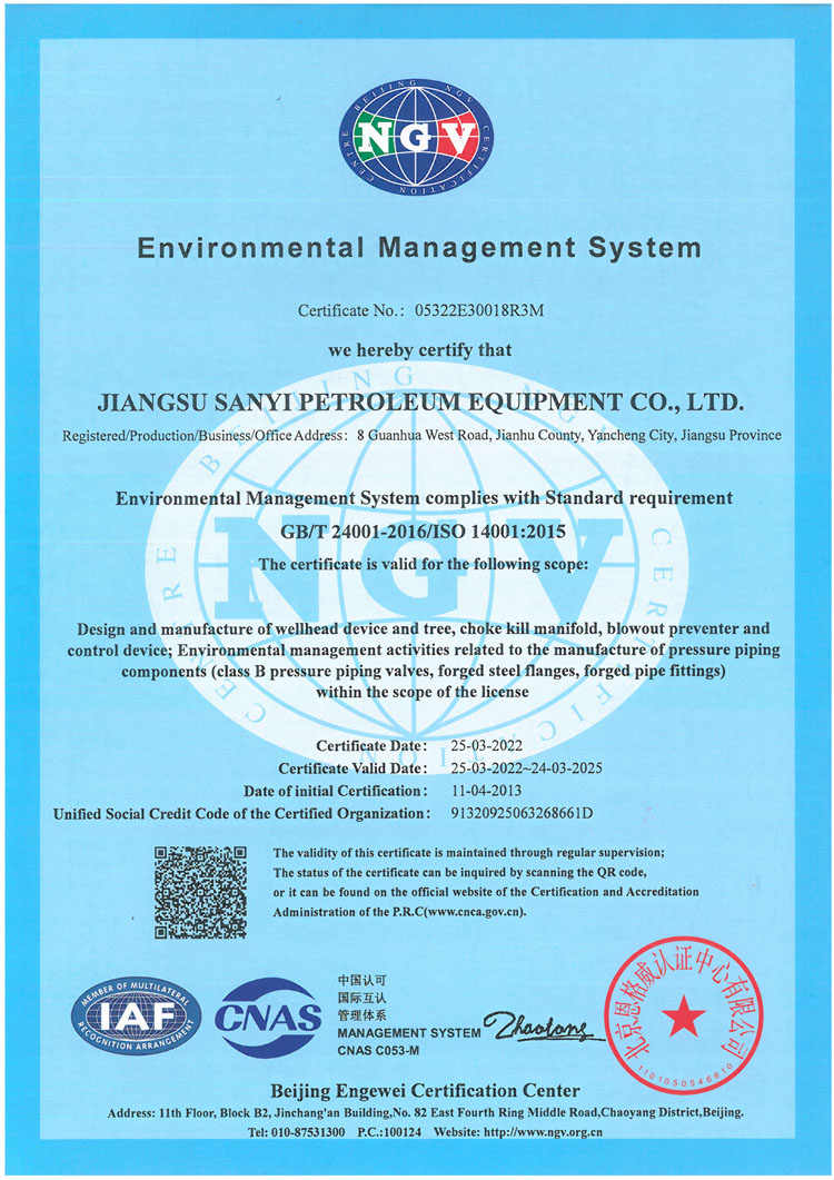 NGV 14001环境管理体系英文证书d.jpg