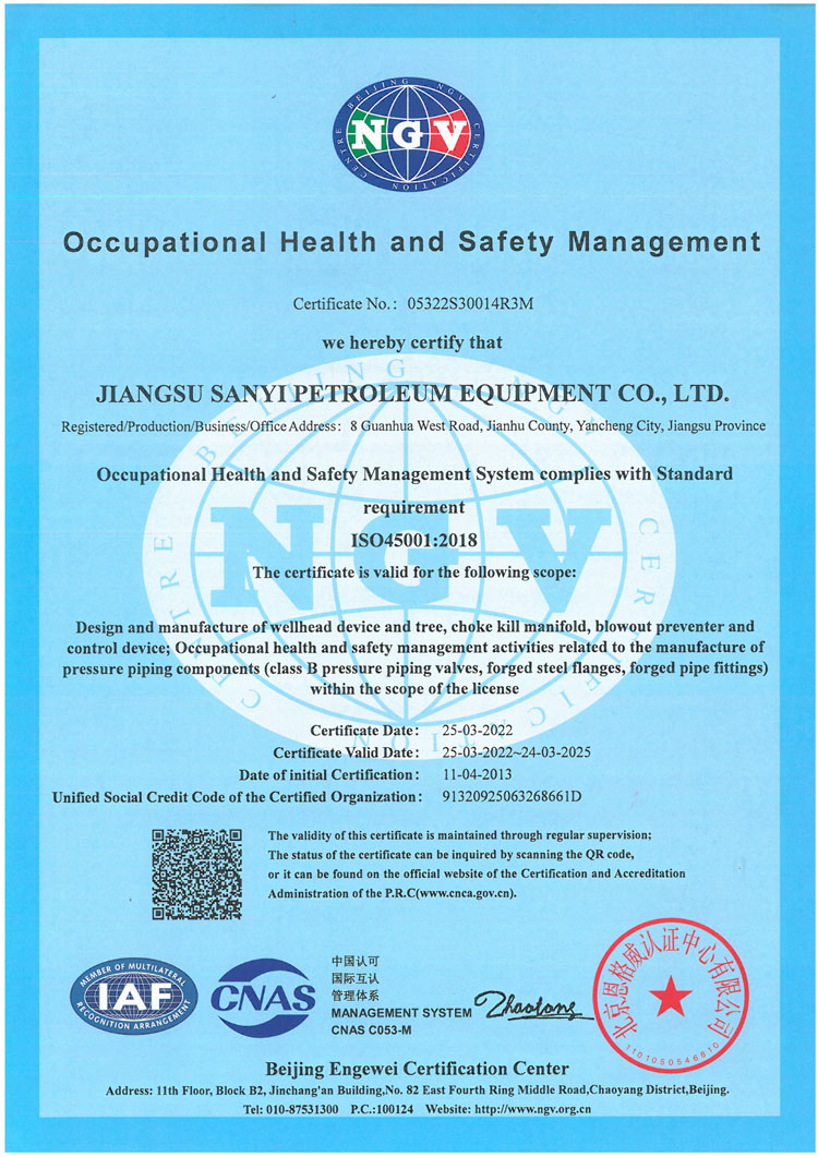 NGV 45001职业健康安全管理体系英文证书d.jpg